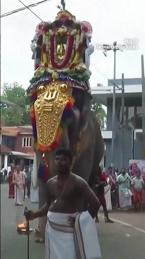 Decorated Elephants Lead Grand Procession in Southern India | N18S #shorts
