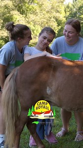 Pure joy, supportive counselors, and moments that matter 💚 Camp Royall Summer Camp registration is still open. APPLY > www.autismsociety-nc.org/camp-royall/summer-camp-info/ | Autism Society of North Carolina