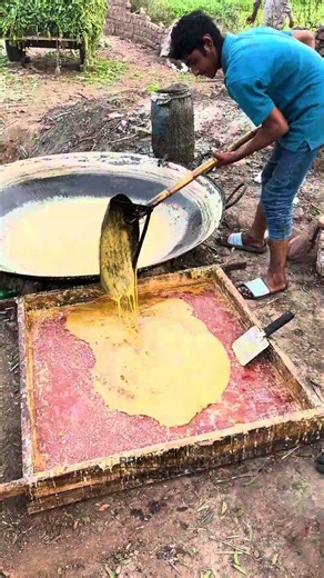 From Green Cane to Golden Gold Unreal Jaggery Process