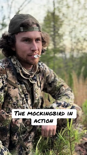 Enjoyable Day of Turkey Calling in the Woods