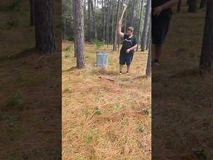 Free tree cutting service