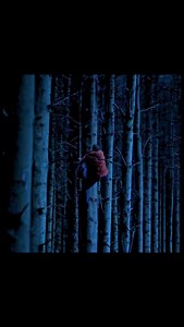 143K views · 101 reactions | ️ THE WATCHERS (2024) Lost in an...