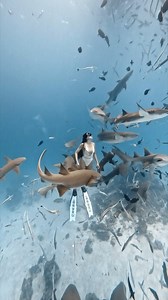 Seamonkeymaldives tours & freediving on Instagram: "This is your sign to book a flight to Maldives and experience the best what this beautiful country offers! @luasferrari 🧜🏼‍♀️ #oceans #oceansnation #oceanlife #oceanlover #saveocean #deepbluecoast #deepbluesea #dive #freedive #freedivegirls #apnea #apneawoman #divespirit #divingphoto #gopro #sharks #discoversharks #dolphins #mantas #paditv #explore #exploremore #earthpix #travel #insta #instadaily #visitmaldives #exploremaldives #maldiveslivi