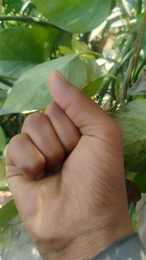 only 4 finger 🤞#shorts #finger #experiment