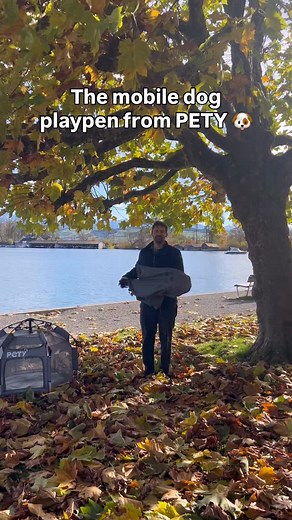 This mobile dog 🐶 playpen from PETY is perfect for on the go! Set up and taken down in seconds 😍 #pety #dog #playpen #hundelaufstall #hund #dogs #hundeausstellung #hundezubehör #hundebox #hundeliebe #dogplaypen | PETY