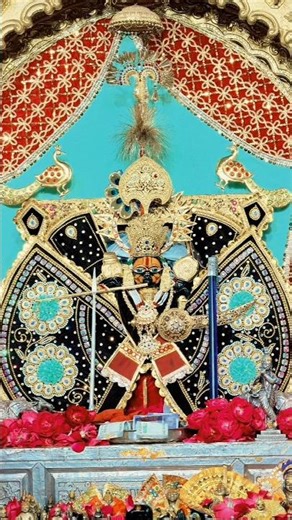 jay shree sawriya sarkar ❣️ #yt #trending #shorts #viralvideo #edit #sanwariyaseth #hindu #bhakti