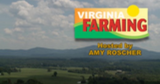 Virginia Farming:Virginia Vinegar Works Season 13 Episode 3