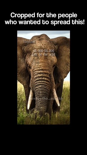 It’s not too late! op TikTok