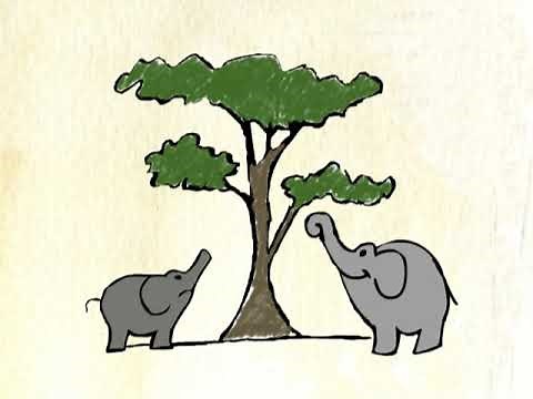 Charles Darwin: Theory of Evolution