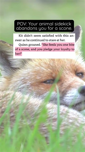 The cutest animal sidekick gets all the scones