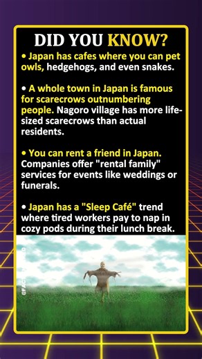 In This Japanese Village, Scarecrows Outnumber People.