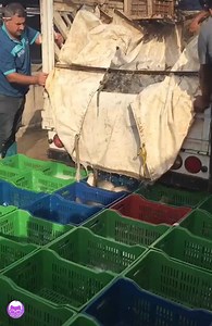 25K views · 122 reactions | Activity In Everyday Life | The world in your screen | Facebook