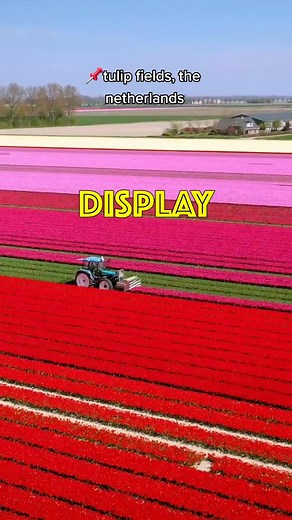 Luuk | Travel is Happiness op TikTok