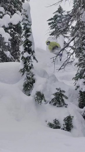 Burton Snowboards on TikTok