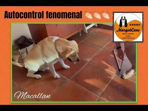 🚫AUTOCONTROL FENOMENAL ✋🏼