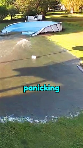 When the overfilled pool suddenly burst 😲😯 #shorts