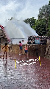 290K views · 2.7K reactions | Who can't wait for summer? | Theme Park Review | Facebook
