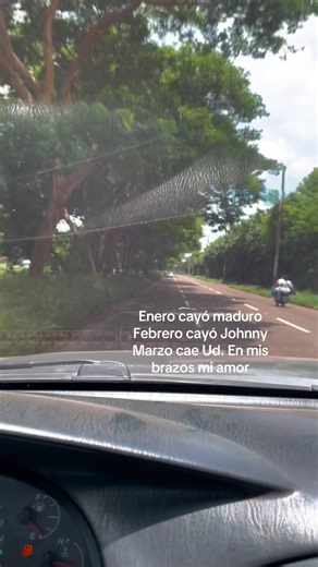 Cae Porque Cae: Canciones de Amor y Caídas