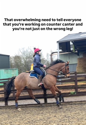 Understanding Counter Canter in Equestrian Riding