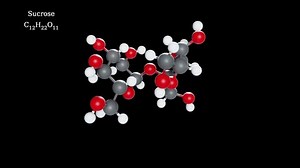 Sucrose Molecule 3d Model Structure Transparent 库存影片视频（100% 免版税）1075947641 | Shutterstock