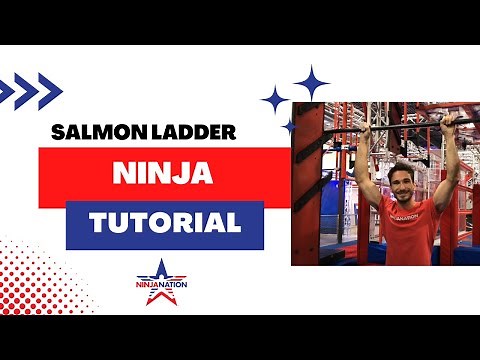 Salmon Ladder Tutorial