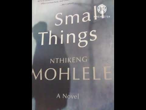No time to read? Summary notes on small things Eng1501 novel- Unisa