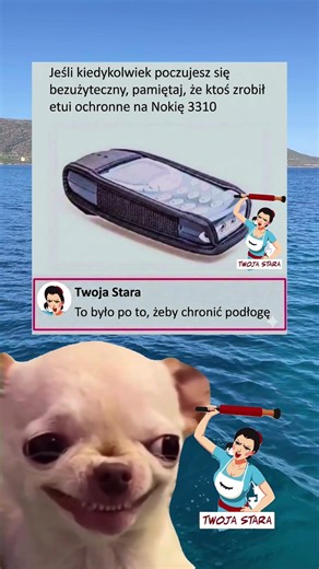 Twoja stara mówi że etui był po to aby chronić podłogę #Twojastara #meme #humor #polishmemes