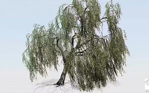 SpeedTree官方功能演示