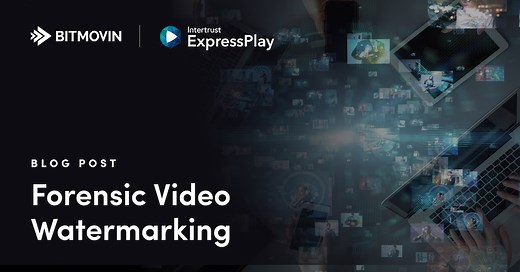 Video Watermarking: Everything You Need to Know (2023)