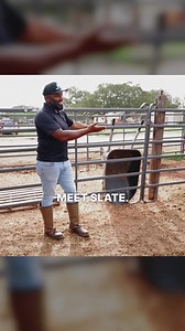 25K views · 714 reactions | Meet Slate, the newest member of the...