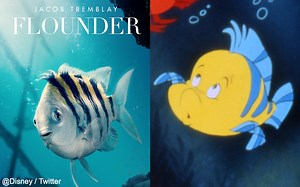 実写版『リトル・マーメイド』、アリエルの友だちフランダーが一部ファンから不評！？ 「ヤセすぎ」「ただの魚」と微妙なリアクションが続出