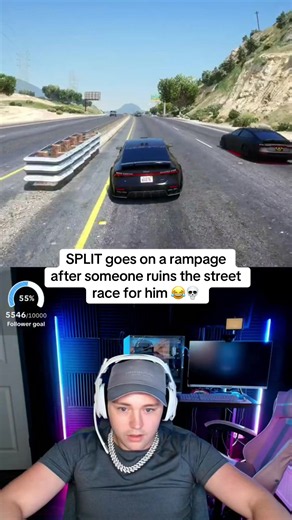 @Flush @Mr Michael #fyp #gta #gta5 #gta5rp #gtaroleplay