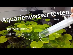 Aquariumwasser analysieren mit Tröpfchentest (sera aqua test box)