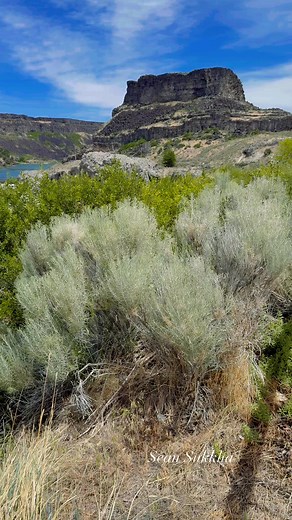 Shoshone Falls 06/15/25 #Idaho #shoshonefalls #twinfalls #fypシ゚viralシfypシ゚viralシalシ | Sean Sukkha