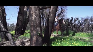 46K views · 912 reactions | DGR 2020, Why I'm Riding Solo: Matthew...