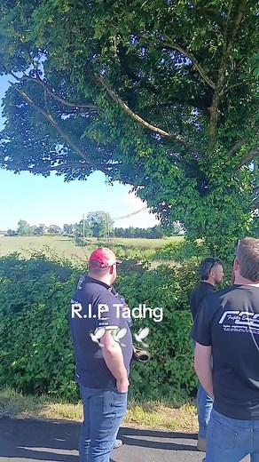 R.I.P Tadhg — Condolences and Tribute