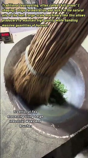 Traditional Tea Processing Using Large Industrial Woks And Brushes
