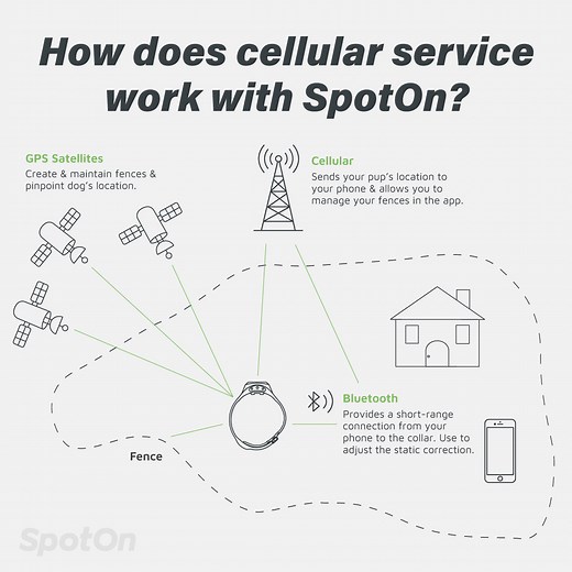 How Does Cellular Service Work With the SpotOn System? | SpotOn