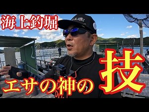 エサの神に海上釣堀で魚が釣れ続ける秘密のエサローテーションを教えていただきました！【海上釣り堀】