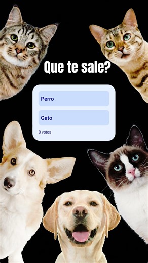 Qué te sale?