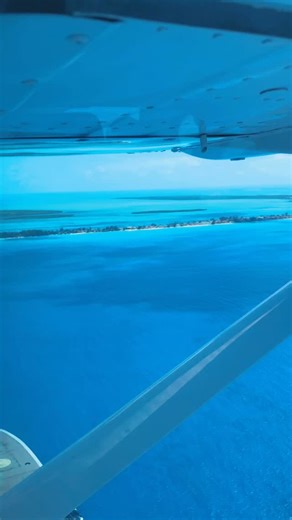 Just 50 miles from Miami — yet it feels like another world. Some say the Lost City of Atlantis sleeps beneath these waters… maybe that’s why Bimini’s energy hums with something ancient and alive. Here at the legendary Big Game Club, divers chase secrets, fishermen chase giants, and wanderers find their way home. ⚓️ #BiminiBahamas #BigGameClub #AdventureAwaits #SaltwaterSoul #BahamasBound | Bimini Big Game Club