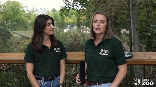 2K views · 124 reactions | It's #ScienceLiteracyWeek and we're...