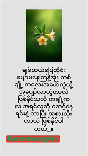 17 June 2026