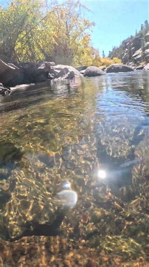 Sun making patterns on the river bottom
