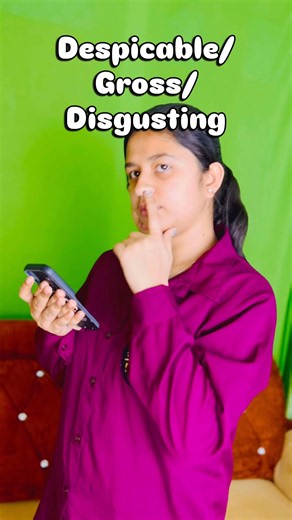 Gross, Disgusting & Despicable Meaning in English