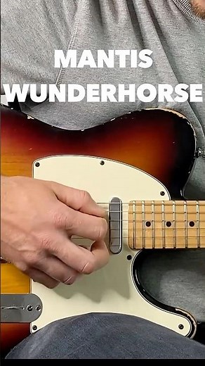 Mantis - Wunderhorse - Main Riff