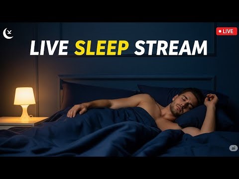 Sleeping stream Live on Teddy Day 🧸💖 6 Hour Cozy Stream | Don’t Let Me Sleep Alone 😴m