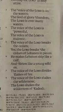 Psalm 29 Glory in the Storm #biblereading #christianshorts