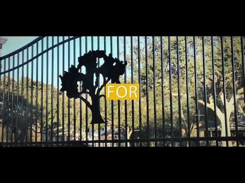 VIP Iron Gates: Setting the Standard in Elegant and Durable Ironwork