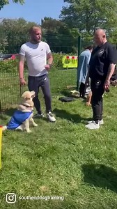 114K views · 1.4K reactions | How to stop your dog jumping up at people | Southend Dog Training | Facebook